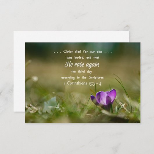 Christ Rose wieder Crocus Card Dankeskarte (Vorne/Hinten)