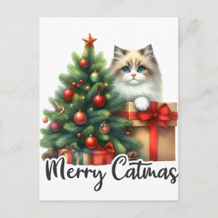 Christbaum Und Katze 2025 Postkarte