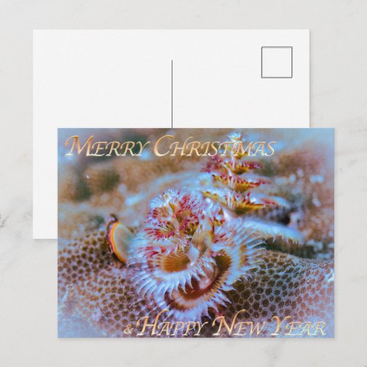 Christbaumwurm postkarte (Vorne/Hinten)