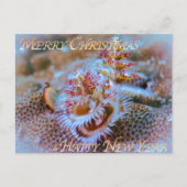 Christbaumwurm postkarte (Vorderseite)
