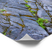 Christine Falls Landschaftlich Poster (Ecke)