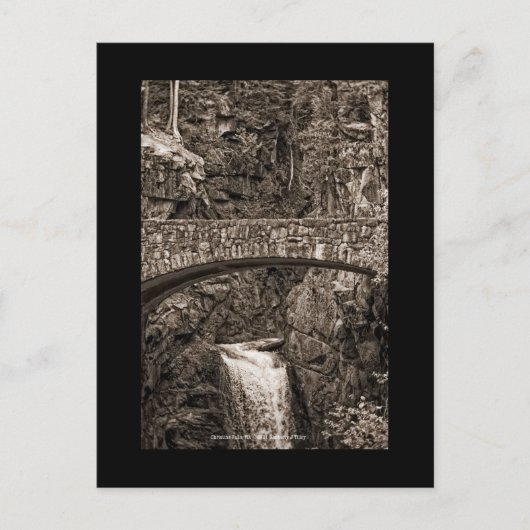 Christine Falls, WA Postkarte (Vorderseite)