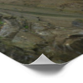 Christine Waterfall, Herbstfarben, Rainier Poster (Ecke)