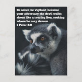 Christlich Meerkat Postkarte (Vorderseite)