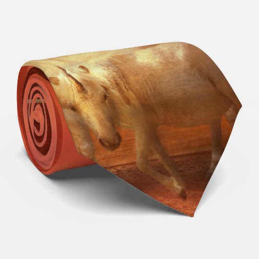 Christlich - Noah's Ark - Der Anfang Krawatte (Gerollt)