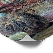 Christlich Schussele Ocean Life Poster (Ecke)