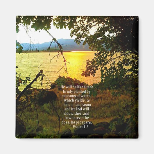 Christliche Bibel Verse Seenlandschaft Kreationari Magnet (Vorne)
