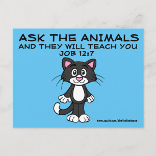 Christliche Cat Postcards Meme, Job 12:7 Postkarte