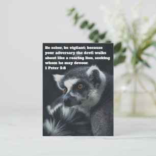 Christliche Meerkatzen-Postkarte Postkarte