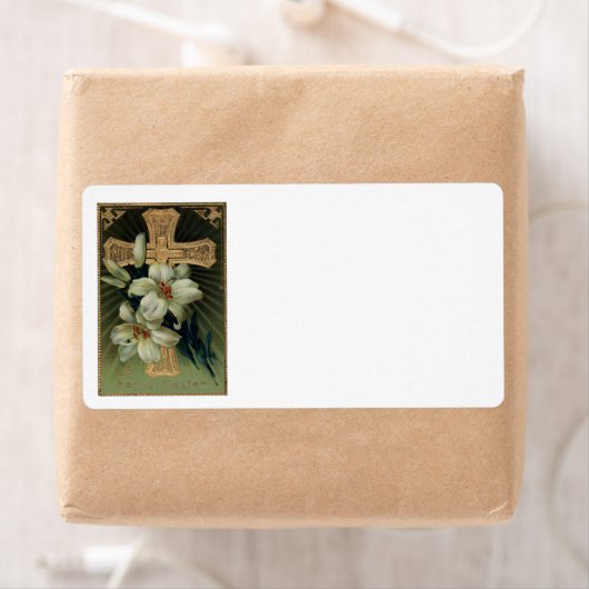 Christliche Osterlilie (Insitu)