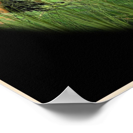 Christliche Plakate (Ecke)