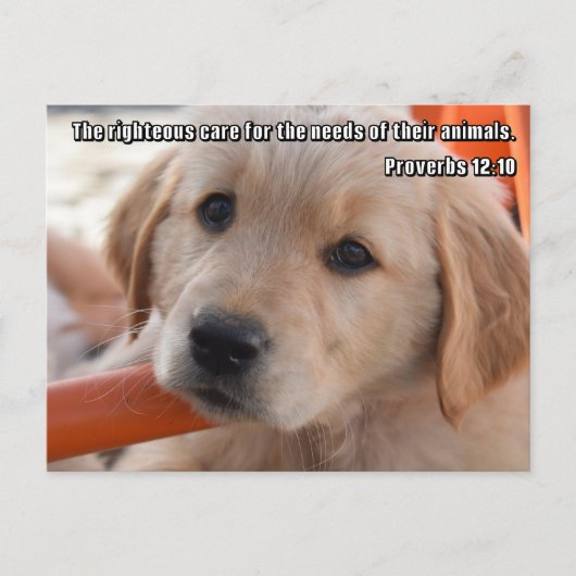 Christliche Postkarte (Vorderseite)