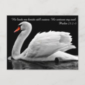 Christliche Swan-Postkarte Postkarte (Vorderseite)