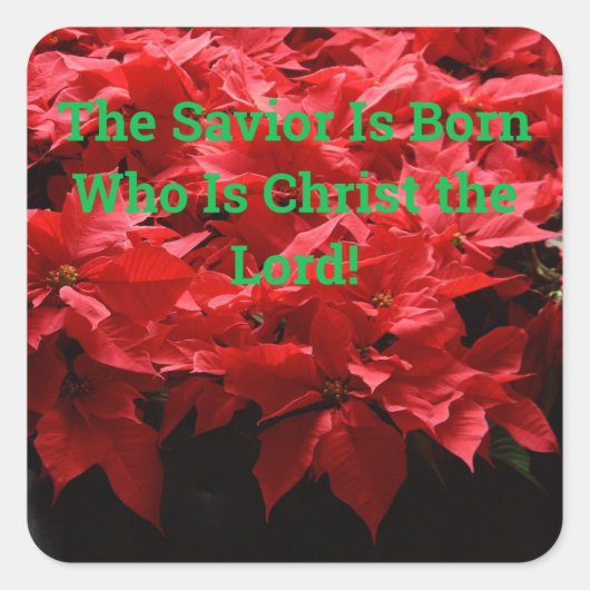 Christliche Weihnachtsfeier ist Geboren Quadratischer Aufkleber (Vorderseite)