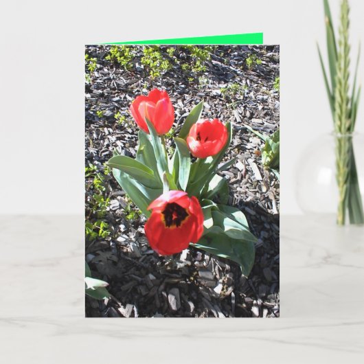 Christliche Weihnachtskarte für beraubte Person Feiertagskarte (Vorderseite)