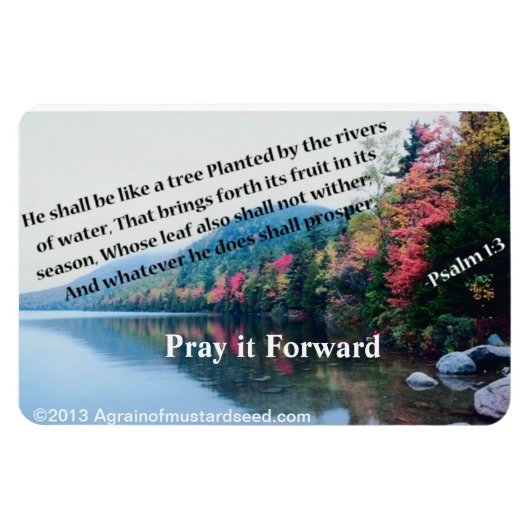Christliche Zitate Inspiration Magnet (Horizontal)