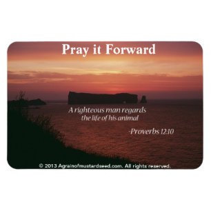 Christliche Zitate Inspiration Magnet