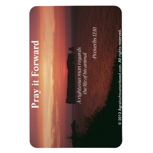 Christliche Zitate Inspiration Magnet (Vertikal)