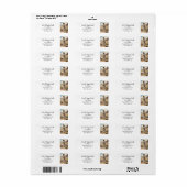 Christlicher Kirchenfürst ist mein Schäfergott (Vorne)