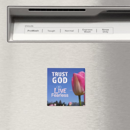 Christlicher Magnet (In Situ (Geschirrspüler))
