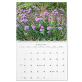 Christlicher Veranstaltungskalender länderszene Kalender (Mär 2027)