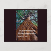 Christliches inspirierendes Zitat auf einem schöne Postkarte (Vorderseite)