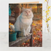 CHRISTLICHES KATZDENKEN IHRER PHILIPPINEN 1:3 KARTE (Gelbe Blume)