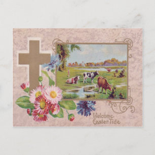 Christliches Kreuz Gänseblümchen Kuhweide Postkarte