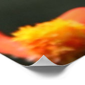 Christliches Poster - Schmetterling - Neue Kreatio (Ecke)