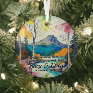 Christmas Acadia Nationalpark Maximalist Verheirat Ornament Aus Glas