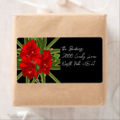 Christmas Amaryllis Garden Vibrant (Insitu)