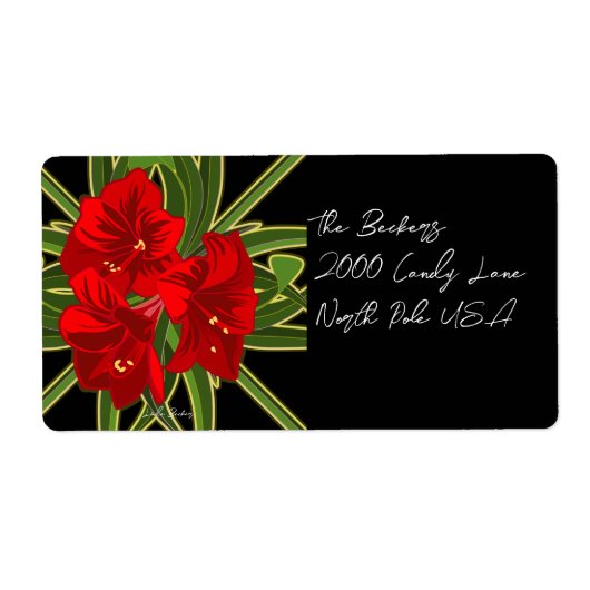 Christmas Amaryllis Garden Vibrant (Vorne)