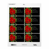 Christmas Amaryllis Garden Vibrant (Vorne)