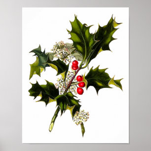 Christmas Art Poster #8 Christmas Holly Wall Art