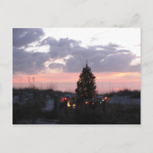 Christmas at Indian Rocks Beach, Florida Feiertagspostkarte