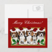 Christmas Beagle Puppies Postcard Feiertagspostkarte (Vorne/Hinten)