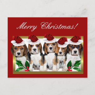 Christmas Beagle Puppies Postcard Feiertagspostkarte