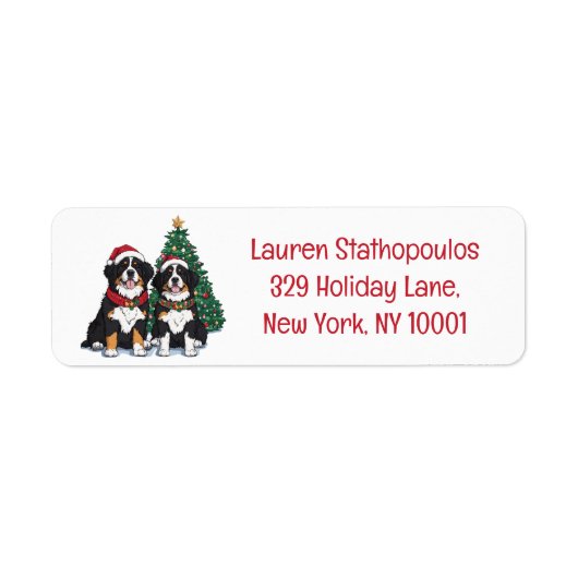 Christmas Bernese Mountain Dogs (Vorne)