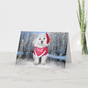Christmas Bichon Frise Dog Feiertagskarte