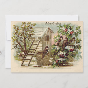 Christmas Bird Holly Snow Ladder Harvest Einladung