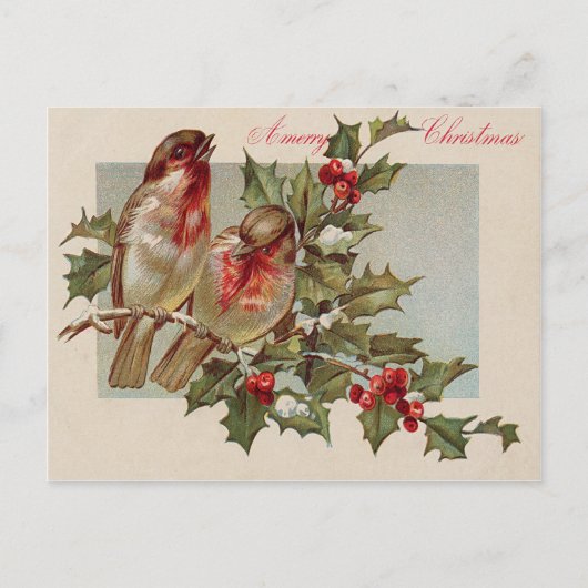 Christmas Bird Songbird Holly Snow Feiertagspostkarte (Vorderseite)