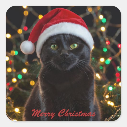Christmas Black Cat - Weihnachtsmannmütze Personal Quadratischer Aufkleber (Vorderseite)