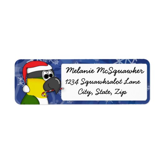 Christmas Black Headed Caique (Vorne)