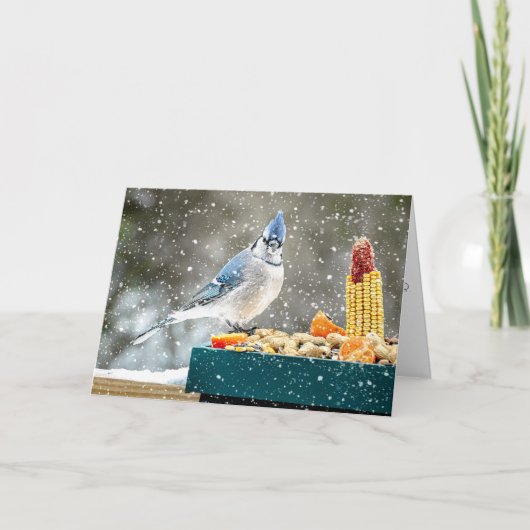 Christmas Blue Jay Christmas Card Feiertagskarte (Vorderseite)