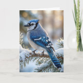 Christmas Blue Jay On a Snowy Pine  Karte (Vorderseite)