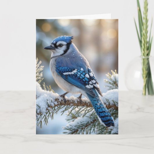 Christmas Blue Jay On a Snowy Pine  Karte (Vorderseite)