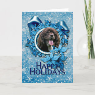 Christmas - Blue Snowflakes - Cocker Spaniel Feiertagskarte