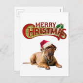 Christmas Bordeauxdog Feiertagspostkarte (Vorne/Hinten)