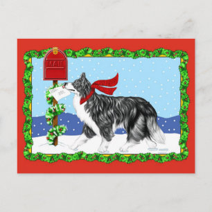 Christmas Border Collie Mail Feiertagspostkarte