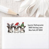 Christmas Boston Terrier Dogs (Insitu)
